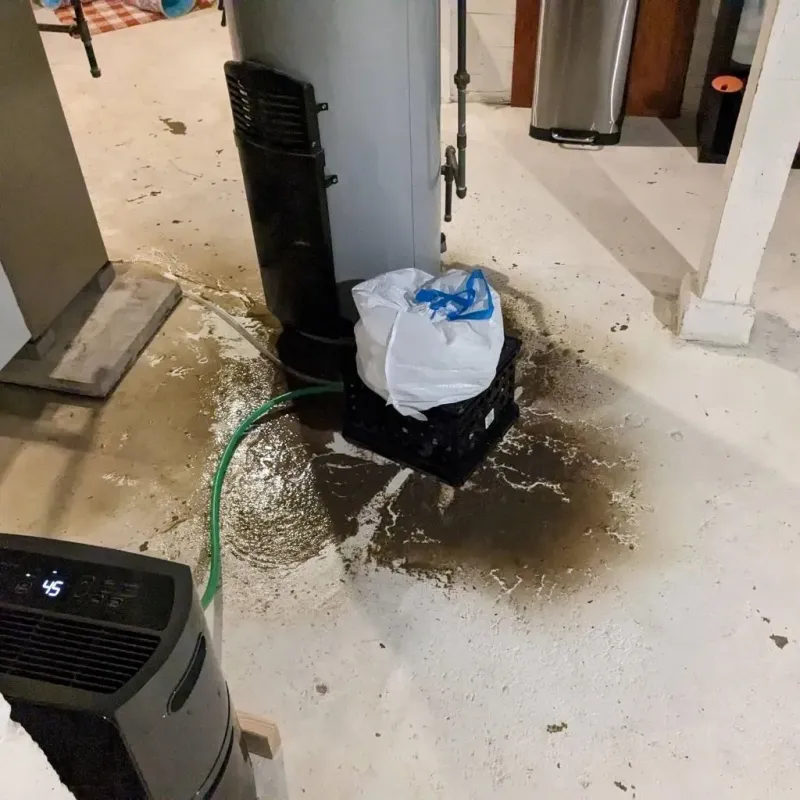 Sewage Backup Cleanup Service in Gates Mills, OH